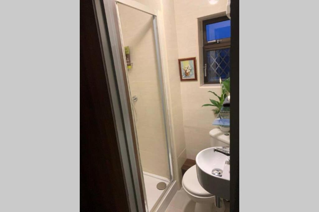 Upstairs Studio - Private Kitchenette And Small En-Suite Dublin Exterior photo